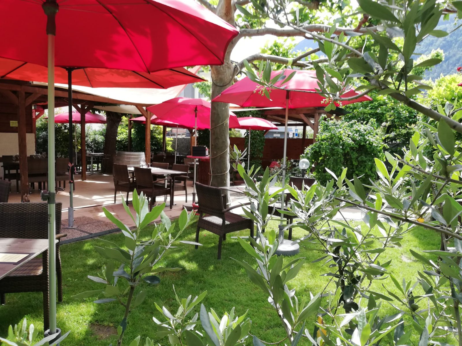 Terrasse ensoleillée, parasols rouges et verdure