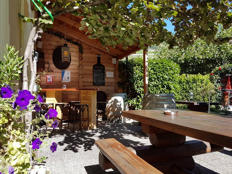 Terrasse en bois ombragée sous la treille